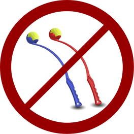 Crossed-out ball thrower icon reading No ball thrower needed