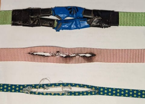 Hands holding a blue nylon dog lead with a tennis ball resting in the cradle